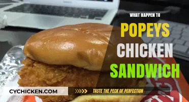 Popeyes Chicken Sandwich: The Rise, Fall, and Legacy of a Fast-Food Craze
