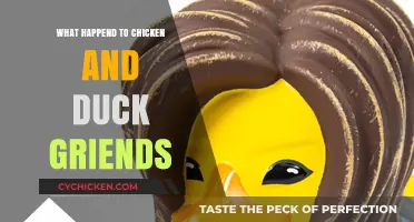 Where Did Chicken and Duck Friends Disappear To? Exploring the Mystery