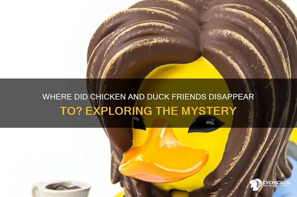 what happend to chicken and duck griends
