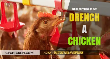 Drenching Chickens: Uncovering the Surprising Effects and Consequences