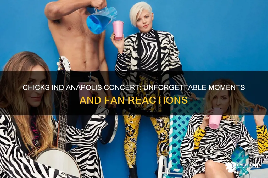 what happened at the chicks concert in indianapolis