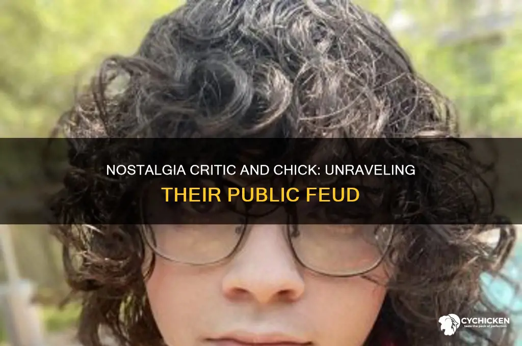 what happened between nostalgia critic and nostalgia chick