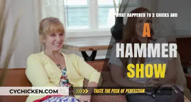 Where Did '2 Chicks and a Hammer' Go?