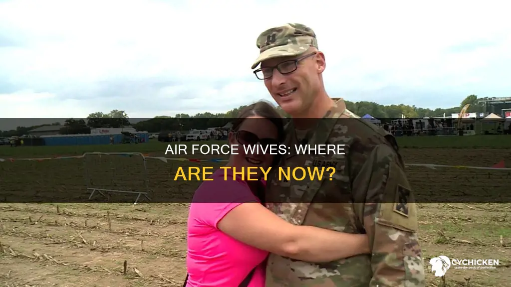 what happened to a 1 air wife in real life