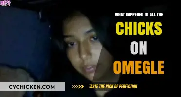 Where Did Omegle's Chicks Go? Unraveling the Sudden Disappearance
