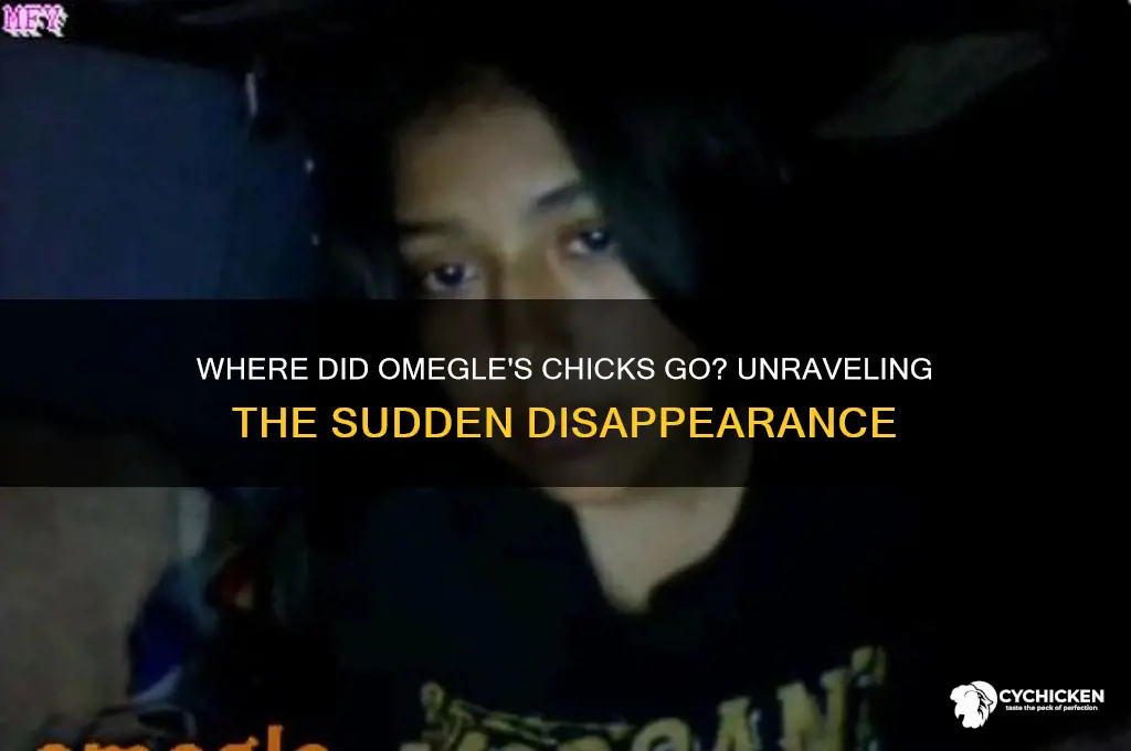 what happened to all the chicks on omegle