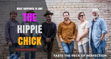 Amy the Hippie Chick: Unraveling Her Mysterious Disappearance