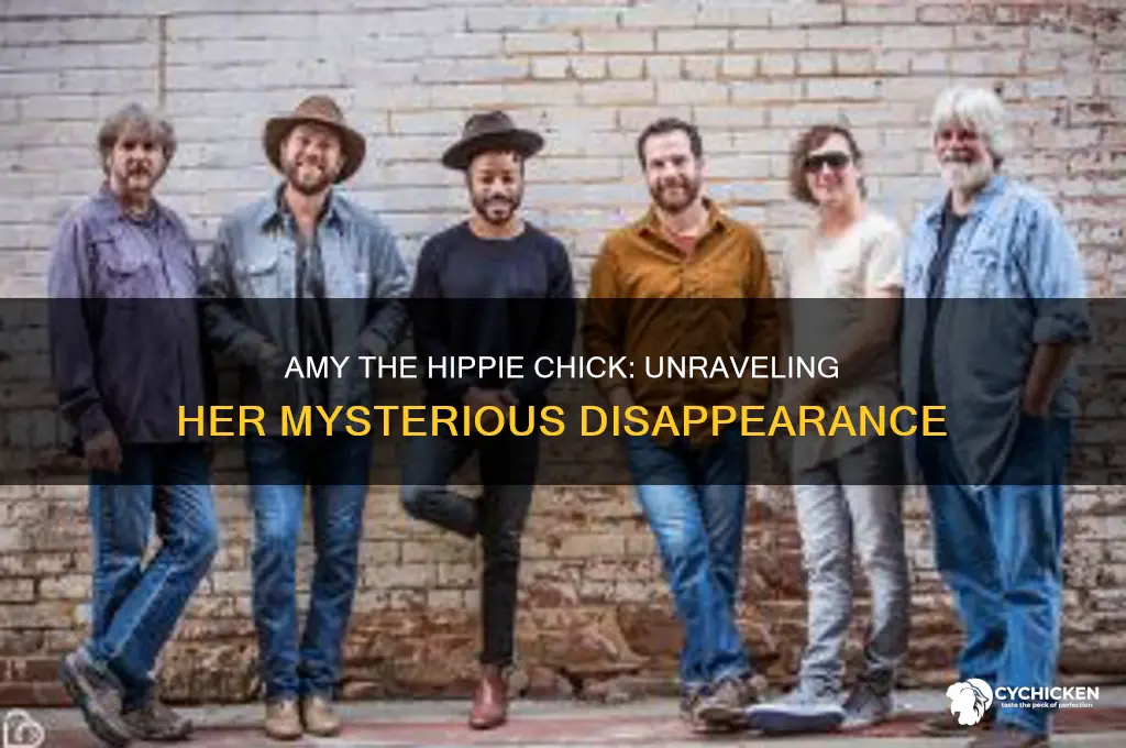 what happened to amy the hippie chick