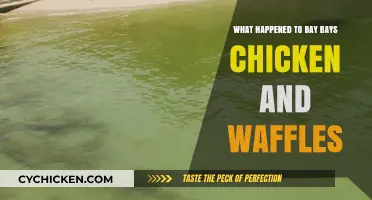 Bay Bays Chicken and Waffles: The Sudden Closure Explained
