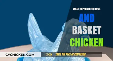 Bowl and Basket Chicken Disappearance: What Really Happened?