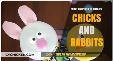 Brach's Chicks and Rabbits: The Sweet Mystery Unwrapped
