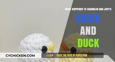 The Duck and Chick's Fate: What Happened?