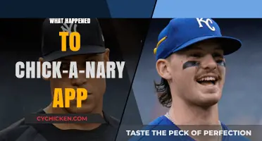 Chick-a-Nary App Disappearance: What Happened to the Popular Platform?
