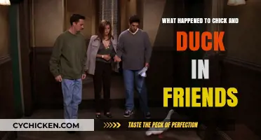 Chick and Duck's Fate: Unraveling Their Story in Friends