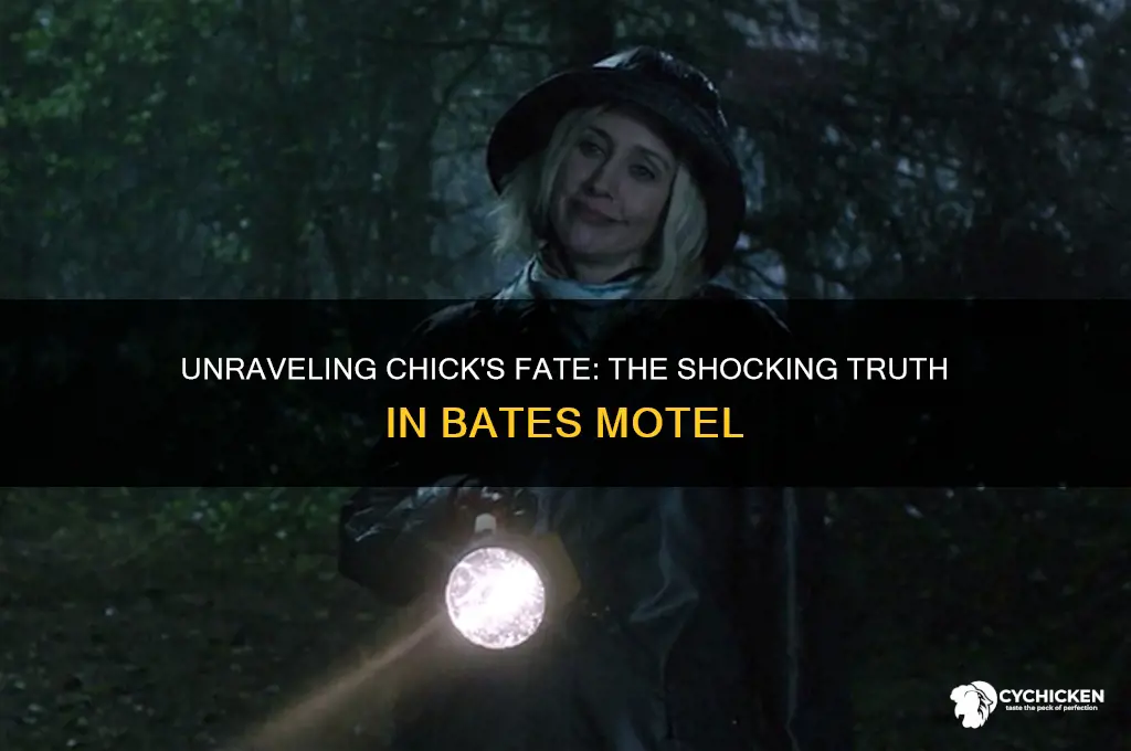 what happened to chick in bates motel