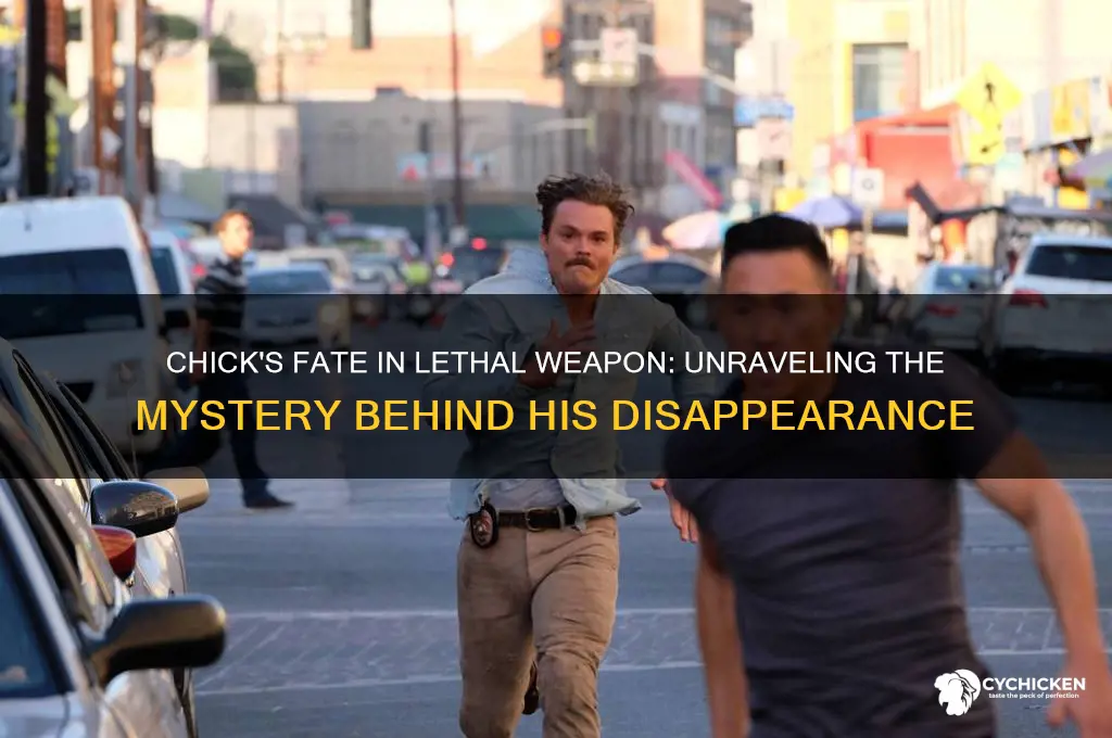 what happened to chick in lethal weapon
