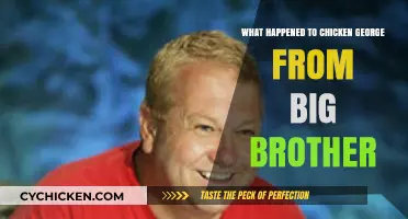The Untold Story of Chicken George: A Big Brother Mystery Unveiled