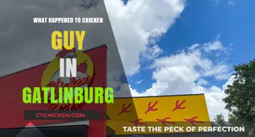 The Mysterious Disappearance of Gatlinburg's Famous Chicken Guy