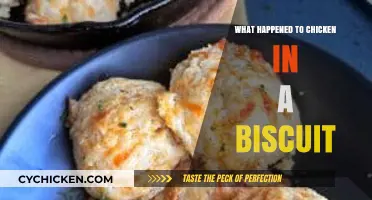 What Happened to Chicken in a Biscuit: The Snack's Disappearance Explained