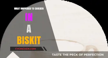 The Mysterious Disappearance of Chicken in a Biskit: What Happened?