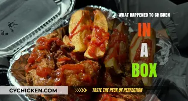 The Mysterious Disappearance of Chicken in a Box: What Happened?