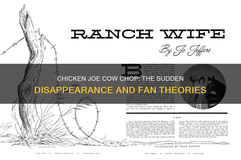what happened to chicken joe cow chjop