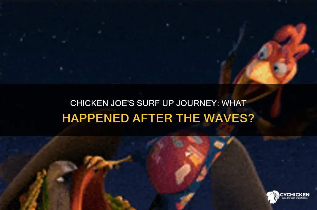 what happened to chicken joe surf up
