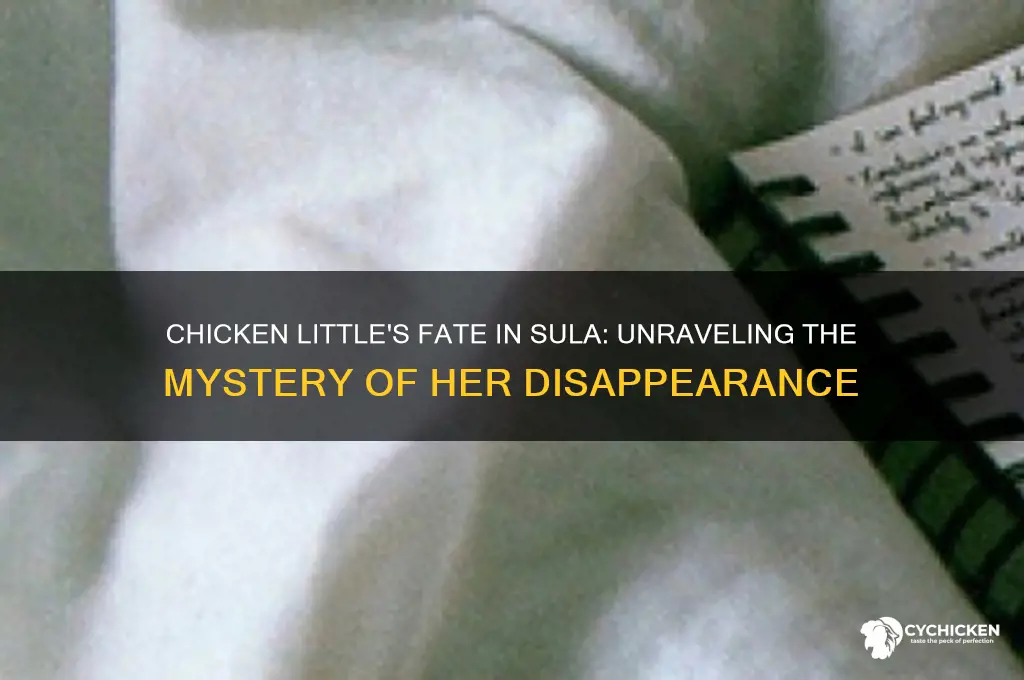 what happened to chicken little in sula