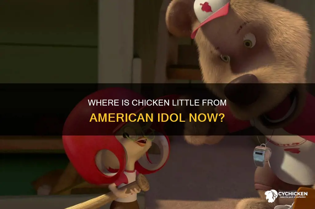 what happened to chicken little of american idol
