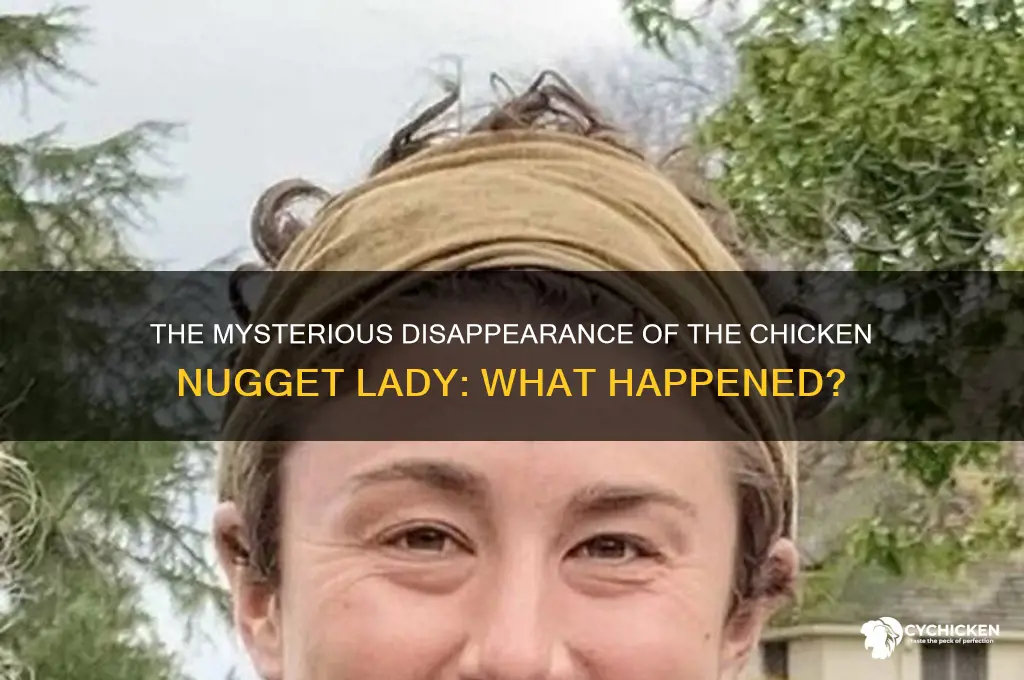 what happened to chicken nugget lady