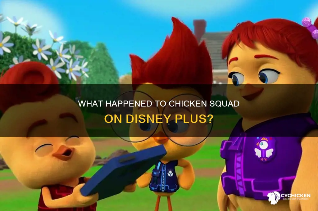 what happened to chicken squad on disney plus