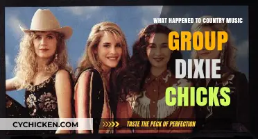 The Dixie Chicks' Journey: From Country Stardom to Silence