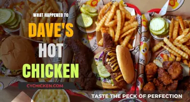 Dave's Hot Chicken: Rise, Expansion, and Spicy Success Story