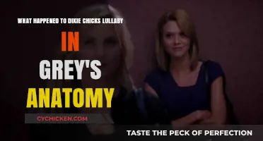 How Dixie Chicks' Lullaby Moved Grey's Anatomy Fans