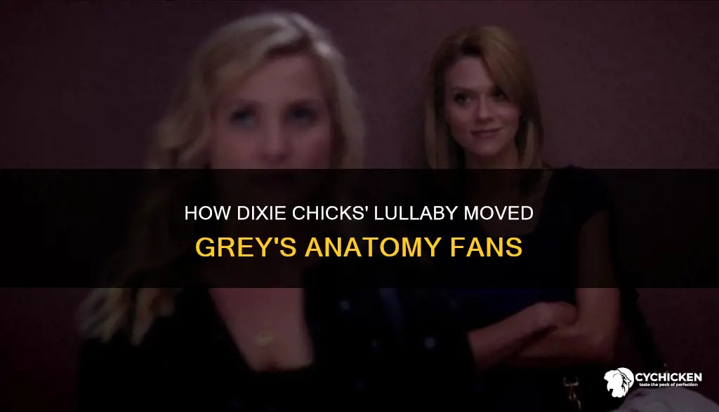 what happened to dixie chicks lullaby in grey