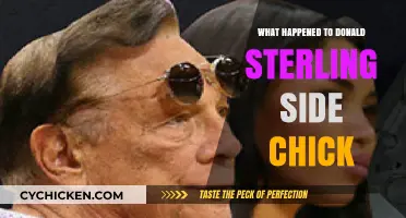 Donald Sterling's Side Chick: Where is She Now?