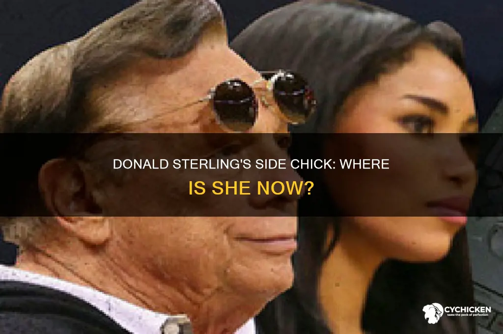 what happened to donald sterling side chick