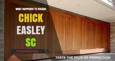 Golden Chick Easley SC Closure: What Really Happened?