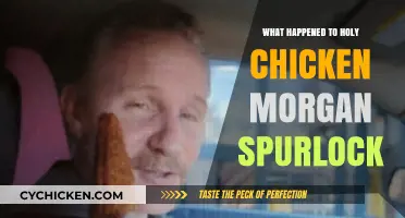 Holy Chicken's Fate: Morgan Spurlock's Fast Food Experiment Aftermath