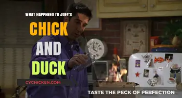 Joey's Chick and Duck: The Unexpected Fate Revealed