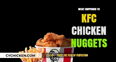 KFC Chicken Nuggets Discontinued: What Happened to the Fan Favorite?