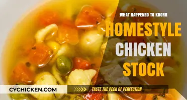 Knorr Homestyle Chicken Stock Discontinued: What Happened and Alternatives