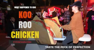 The Rise and Fall of Koo Koo Roo Chicken: What Happened?