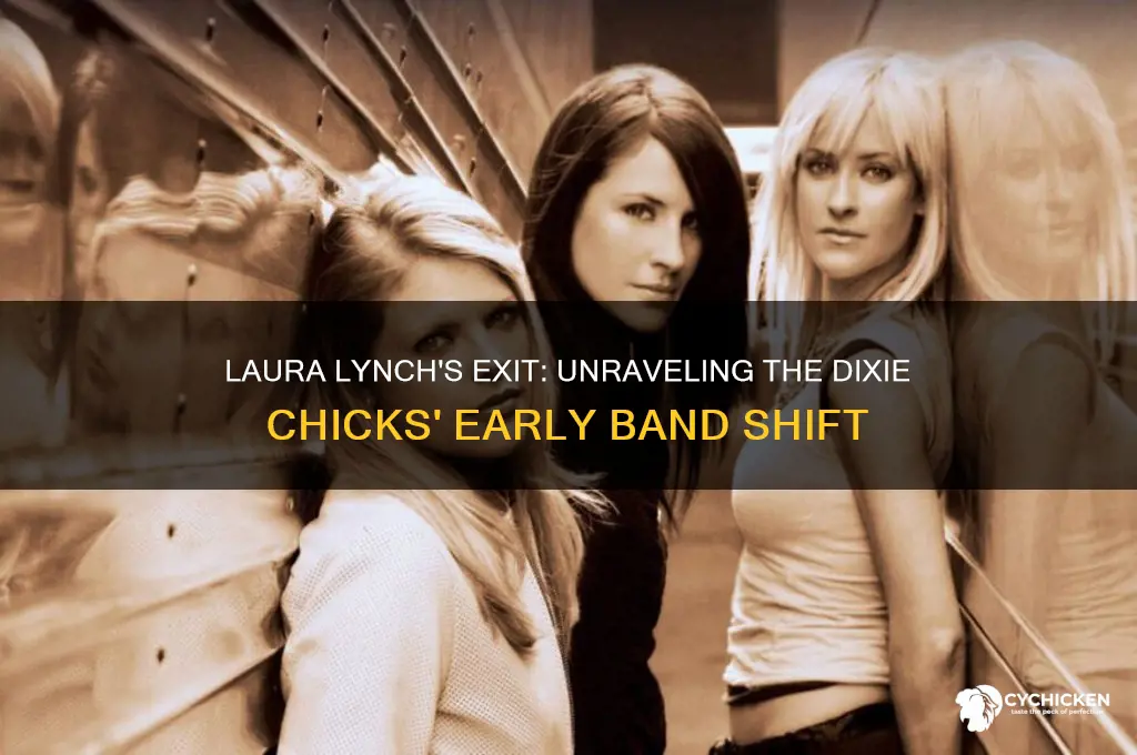 what happened to laura lynch dixie chicks