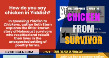 Mark the Chicken's Survivor Fate: What Happened After the Show?
