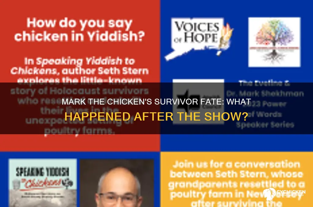 what happened to mark the chicken from survivor
