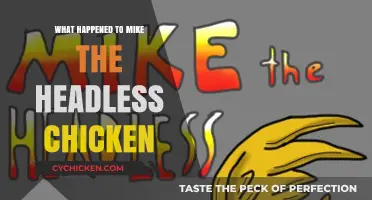 Mike the Headless Chicken: The Astonishing Survival Story Explained