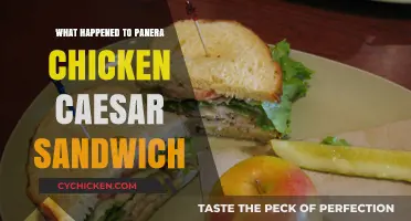 Panera Chicken Caesar Sandwich Discontinued: What Happened to the Classic?