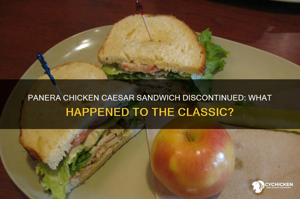 what happened to panera chicken caesar sandwich