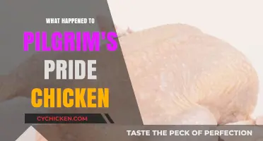 Pilgrim's Pride Chicken: Unraveling the Fate of a Poultry Giant